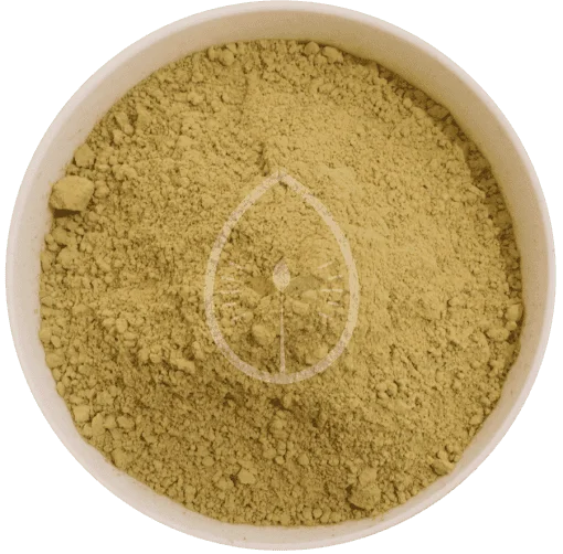 Red indo