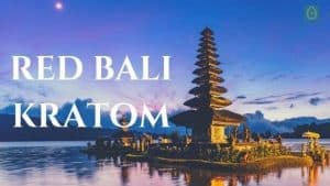 red bali kratom