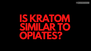 Kratom is not an opiate although it does have opioid receptors