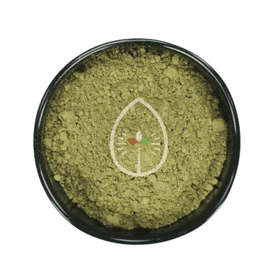 White Ketapang Kratom