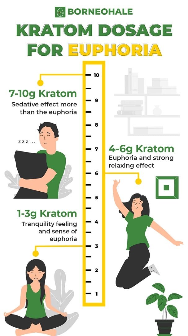 Which Kratom Is Best For Euphoric Feeling The Best Kratom Strains for Euphoria – Borneohale