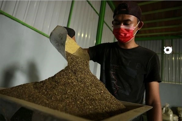farmers crushed leaves